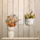 olivia-owl-plant-set2